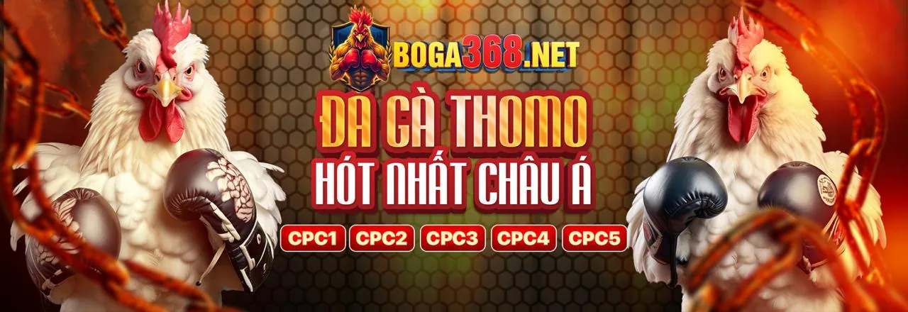 Giải thích về Cookie và bảo mật dữ liệu
