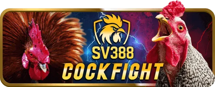 Tầm nhìn và sứ mệnh của 58wim nhà cái